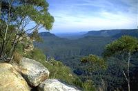 Blue Mountains